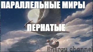 ОТЕЦ АБСОЛЮТ/ПАРАЛЛЕЛЬНЫЕ МИРЫ (ПЕРНАТЫЕ)