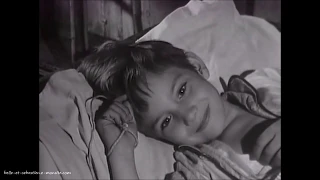 Belle et Sébastien (1965) | Extrait "Le sapin"