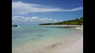 Isla Saona Tour - Viva Wyndham Dominicus Beach
