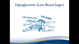 Adult Type 2 Diabetes - 3. Highs and Lows of Blood Sugars