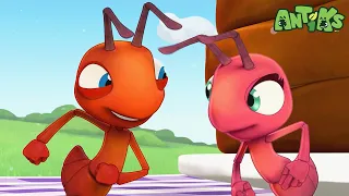 Jammed | 😄🐜| Antiks Adventures - Joey and Boo's Playtime