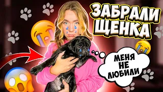 КУПИЛИ ЩЕНКА МОПСА! Наша ПЕРВАЯ ВСТРЕЧА и РЕАКЦИЯ БАКСА! ЕГО Первые 24 часа С Нами! ВЛОГ