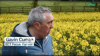 Gavin Curran Teagasc ECT focus farmer