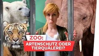 Tiere im Zoo: Quälerei oder Artenschutz?