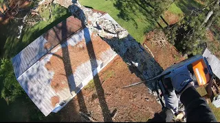 Climbing and rigging pine tree over house