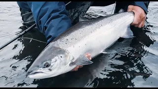 River Dee  Salmon fishing winter / spring tactics.