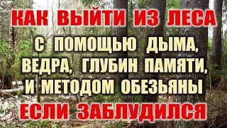 ОРИЕНТИРОВАНИЕ. Если заблудился в лесу что делать? Как выйти из леса Как ориентироваться без компаса