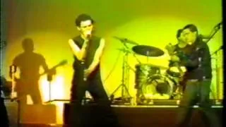 Angry Samoans Live L.A. Early 80's