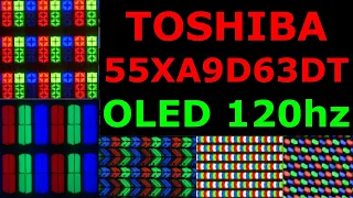 TOSHIBA OLED 120hz 55XA9D63DT Panel Teknik Özellikleri