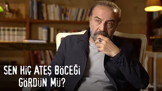 Sen Hiç Ateş Böceği Gördün Mü? | Yılmaz Erdoğan Anlatıyor