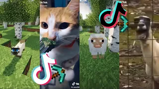 Minecraft vs Realite Funny TikTok Compilation