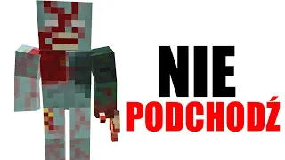 CZY PODEJDZIESZ DO TYCH DZIWNYCH POSTACI W MINECRAFT?