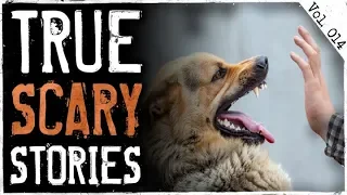 Dog Rescue & Neighborhood Weirdo | 10 True Creepy Horror Stories From Reddit (Vol. 14)