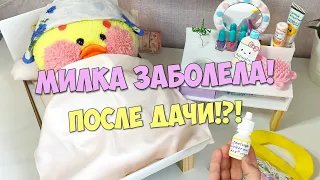 Уточка Милка заболела после дачи!?! ВЛОГ на даче! Мой день с уточкой Лалафанфан.