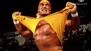 Hulk hogan theme song