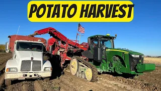 Potato harvest, 2023 || no comment || ASMR