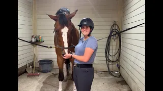 How to groom a horse with Brooke and MJ!