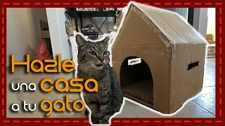 ¡Dale a tu gato su propio hogar! Aprende a hacer una casa de cartón para gatos en minutos