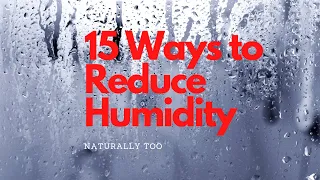 15 Ways to Reduce Humidity in Your House