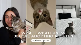 ADOPTING A KITTEN (what I wish I knew)