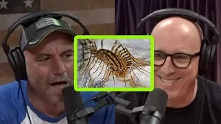 Centipedes Freak Joe Rogan Out!