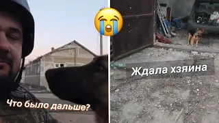 😭Собака ждала хозяина у дома 7 месяцев с начала войны! Что было дальше? Полное видео