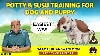 How to Potty & Susu (Pee) Training Puppy or Adult Dog at Home | Indoor or Outdoor | Baadal Bhandaari