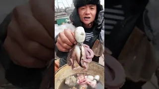 Amazing Eat Seafood Lobster, Crab, Octopus, Giant Snail, Precious Seafood🦐🦀🦑Funny Moments 359