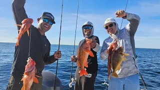 Southern California Saltwater Fishing Multiple Species Bonanza