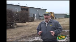 Dave Wilson Nursery Bare Root Tree Harvest