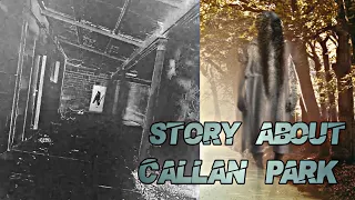 The Ghost of Journeys Past 😵 - A story about Callan Park