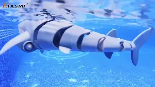 RC Shark