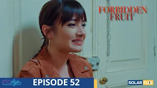 Forbidden Fruit Episode 52 | FULL EPISODE | TAGALOG DUB | Turkish Drama