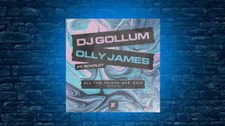 DJ Gollum & Olly James ft.Scarlet - All The Things She Said #tiktokremix