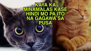 KAYA KA MINAMALAS KASE HINDI MO PA ITO NA GAGAWA SA PUSA-APPLE PAGUIO7