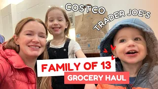 FAMILY OF 13 - GROCERY HAUL 🍅🥑 NYC 🗽 TRADER JOE'S - COSTCO 🎄 CHRISTMAS DINNER SHOPPING