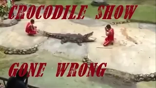 Crocodile Bite Trainer's Head - REAL FOOTAGE!!!