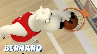 Bernard Bear | Basketball 2 AND MORE | Cartoons for Children