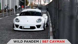 WILD PANDEM CAYMAN | TOYO TIRES [4K60]