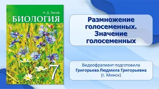 Тема 21. Размножение голосеменных. Значение голосеменных