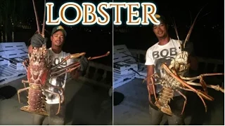 Huge 14lb lobster caught off Bermuda coast | Amazing World