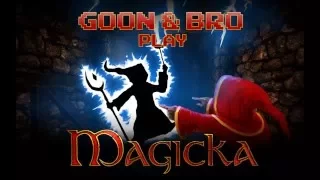 Magicka: Friendly Fire Simulator