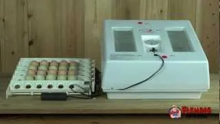 Professional Egg Incubator Kit With Turner