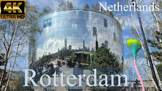 Exploring Rotterdam, Netherlands I 2024 I 4K