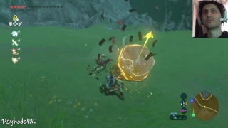 Zelda - Breath of the Wild - #69 Année érotique