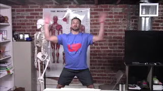 Planes of Motion (sagittal transverse frontal) - Show Up Fitness