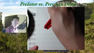 Predator Prey Lab Simulation