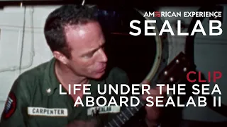 Life aboard Sealab II | Sealab | American Experience | PBS