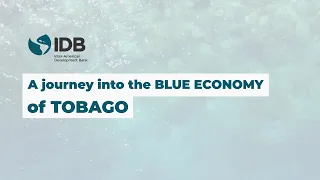 A Journey into the Blue Economy of Tobago