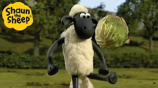 Shaun the Sheep 🐑 The Football Tournament ⚽ Full Episodes Compilation [1 hour]